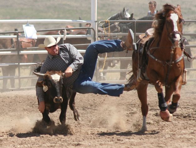 Steer Wrestling. Photo by Clint Gilchrist, Pinedale Online.