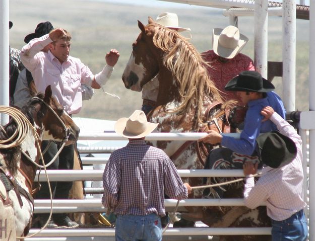 Trouble in the Chute. Photo by Clint Gilchrist, Pinedale Online.