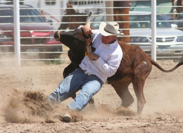 Steer Wrestling. Photo by Clint Gilchrist, Pinedale Online.