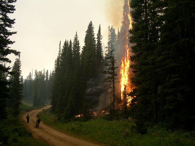 View from Horse Creek Road. Photo by Bridger-Teton National Forest.