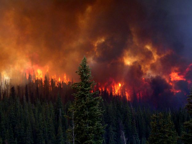 Hot Burn. Photo by Bridger-Teton National Forest.