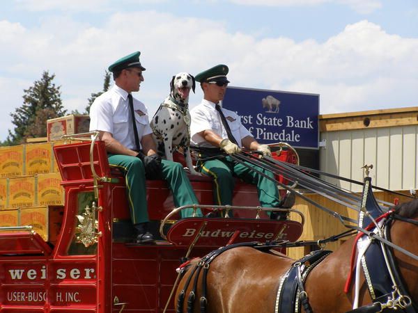 Wagon Drivers. Photo by Sue Sommers.