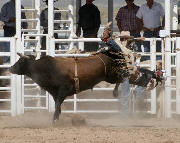 Sonny Munns. Photo by Dawn Ballou, Pinedale Online.