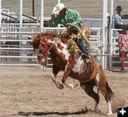 Saddle Bronc Ride. Photo by Clint Gilchrist, Pinedale Online.