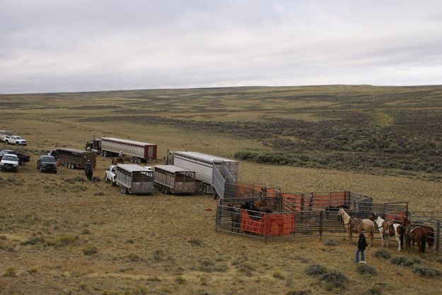 Trucks. Photo by Cat Urbigkit.