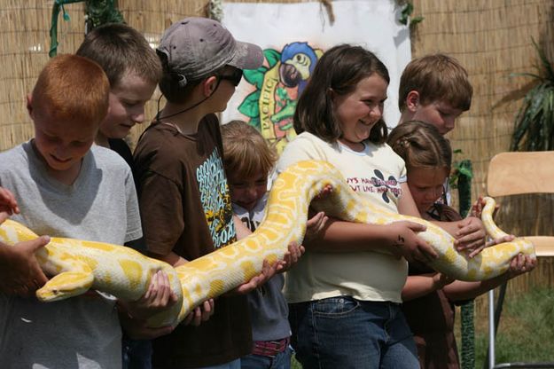 Big Snake. Photo by Dawn Ballou, Pinedale Online.