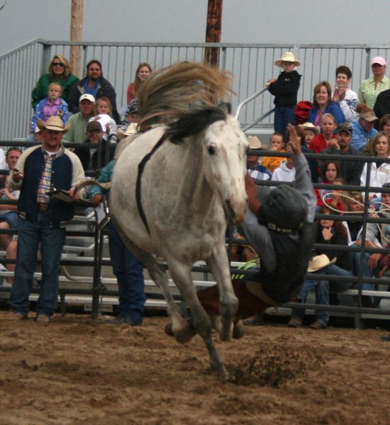 Bonner Brown. Photo by Dawn Ballou, Pinedale Online.