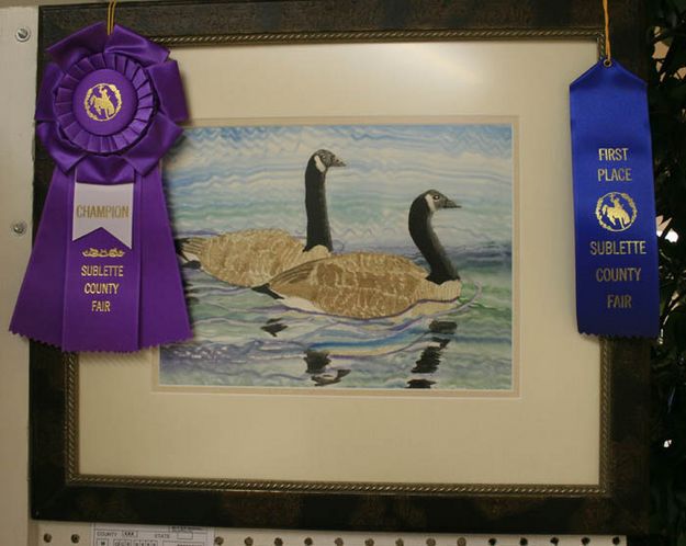 Floating Geese. Photo by Dawn Ballou, Pinedale Online.