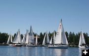 Sailing Boats. Photo by Mindi Crabb.