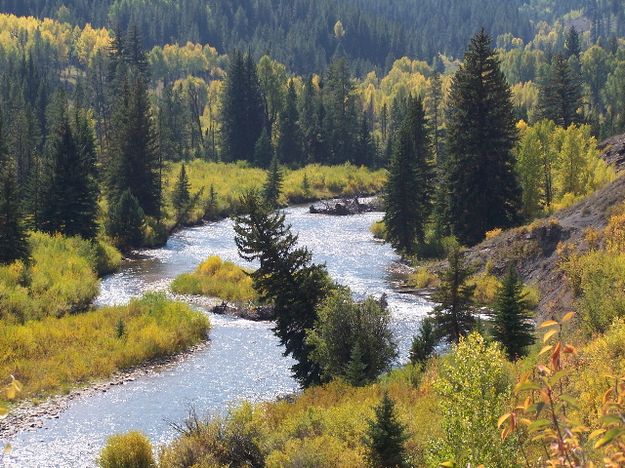 Greys River. Photo by Scott Almdale.