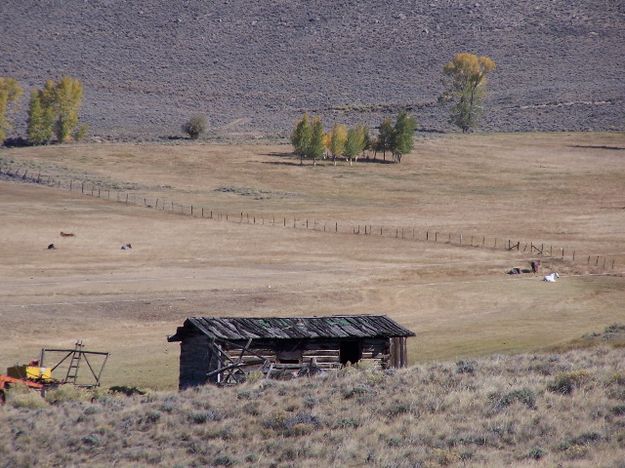 Abandoned Cabin. Photo by Scott Almdale.