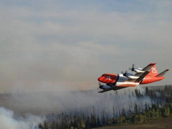 Plane close up. Photo by Kenna Tanner.