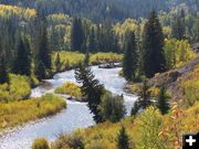 Greys River. Photo by Scott Almdale.