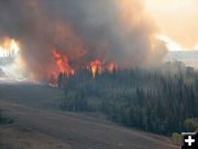 Burning Tree Islands. Photo by Kenna Tanner.