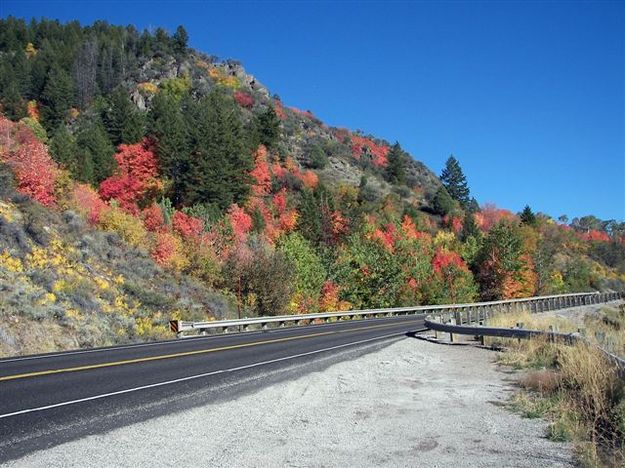 Snake River Canyon colors. Photo by Cyd Goodrich.