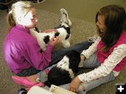 Kids and puppies. Photo by 4-H.