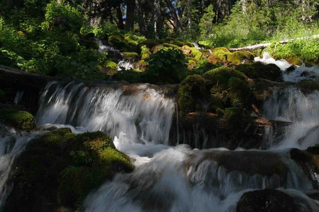 Tumbling Stream. Photo by Dave Bell.