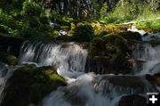 Tumbling Stream. Photo by Dave Bell.