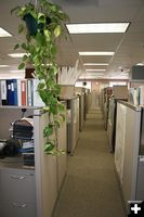 Hallway. Photo by Dawn Ballou, Pinedale Online.