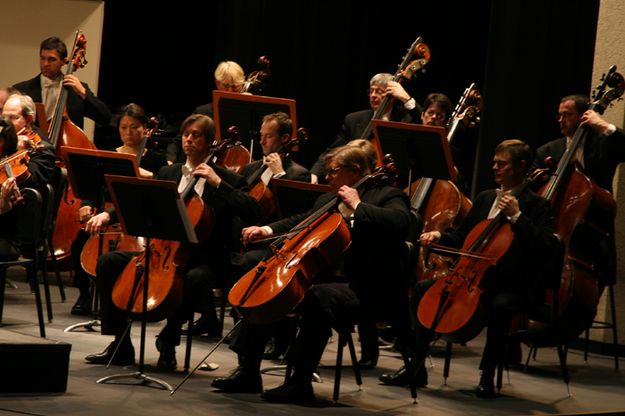 Cellos. Photo by Pam McCulloch.