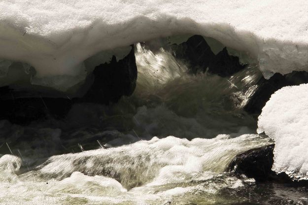 Boulder Creek. Photo by Dave Bell.