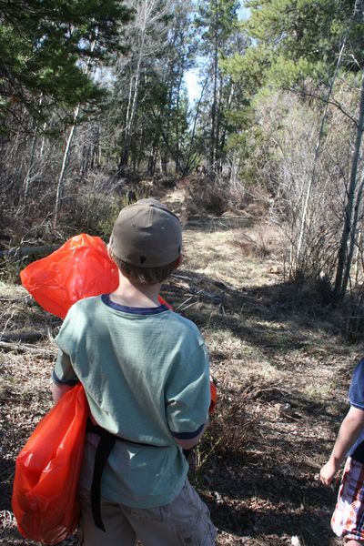 Moose Alert. Photo by Pam McCulloch, Pinedale Online.