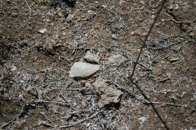 Rock Chips. Photo by Dawn Ballou, Pinedale Online.