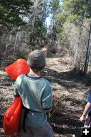 Moose Alert. Photo by Pam McCulloch, Pinedale Online.