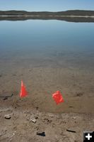 Submerged Campfire. Photo by Dawn Ballou, Pinedale Online.