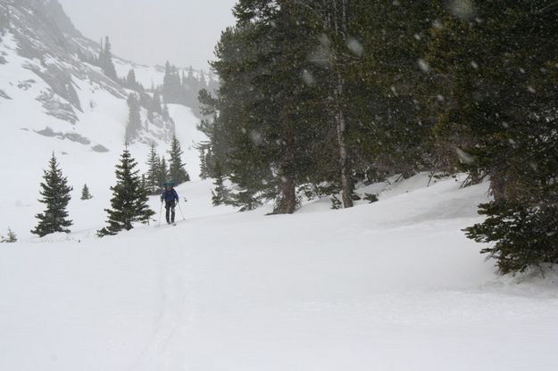 Tim Weydeveld Skinning. Photo by Cris Weydeveld.