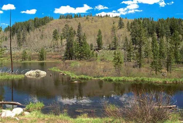 Beaver Pond. Photo by Pinedale Online.