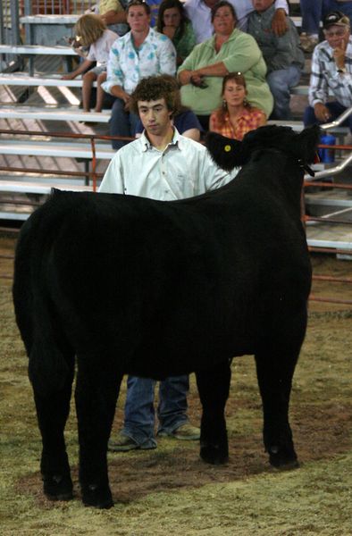 Luke Johnston. Photo by Clint Gilchrist, Pinedale Online.