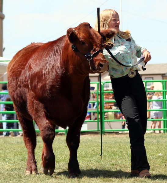 Ginger Shenefelt. Photo by Clint Gilchrist, Pinedale Online.