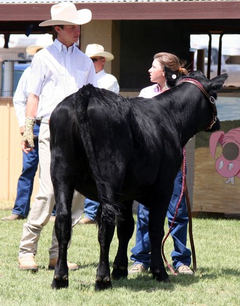 Erika Wolaver. Photo by Clint Gilchrist, Pinedale Online.