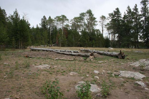 Big Fire Circle Pit - After. Photo by Dawn Ballou, Pinedale Online.