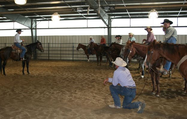 Pointers. Photo by Dawn Ballou, Pinedale Online.