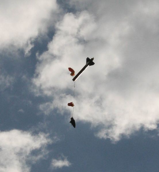 Landing. Photo by Dawn Ballou, Pinedale Online.