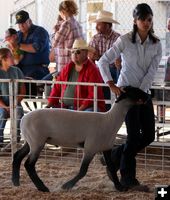 Tazia Morgart. Photo by Clint Gilchrist, Pinedale Online.