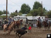 Header. Photo by Carolyn Bing, Cowboy Shop.