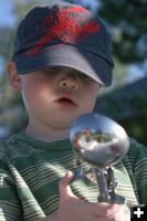 Lil' Scooper. Photo by Pam McCulloch, Pinedale Online.