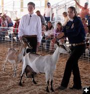 Howard Talbot & Erica David. Photo by Clint Gilchrist, Pinedale Online.