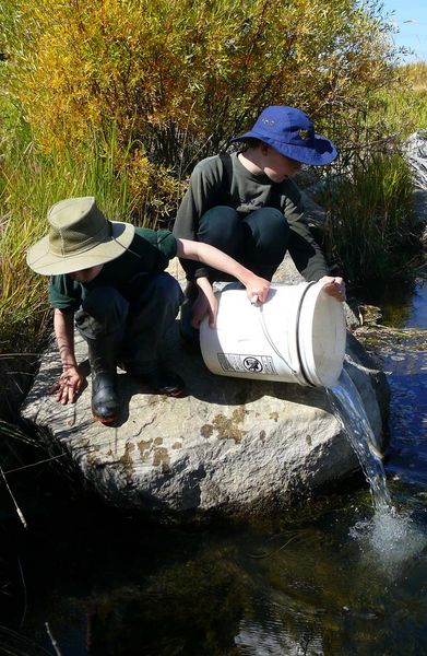 Releasing fish. Photo by Hal Erickson.