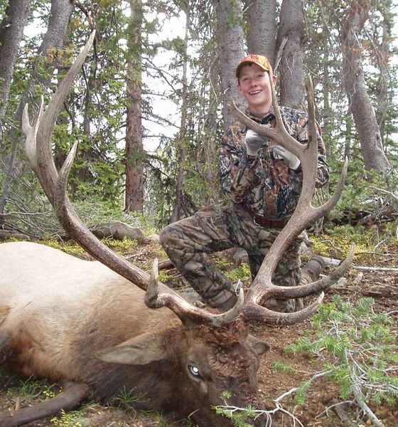 Dalton's Elk. Photo by Dalan Haase.