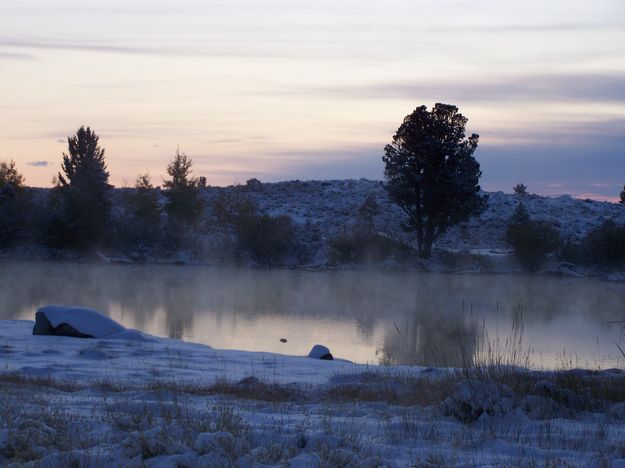 Misty Fremont. Photo by Corene Shaw.