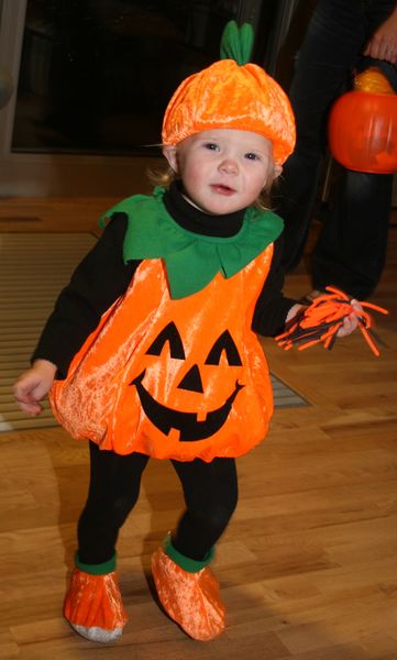 Lil Pumpkin. Photo by Pam McCulloch, Pinedale Online.