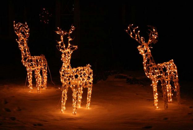 Deer Lights. Photo by Dawn Ballou, Pinedale Online.