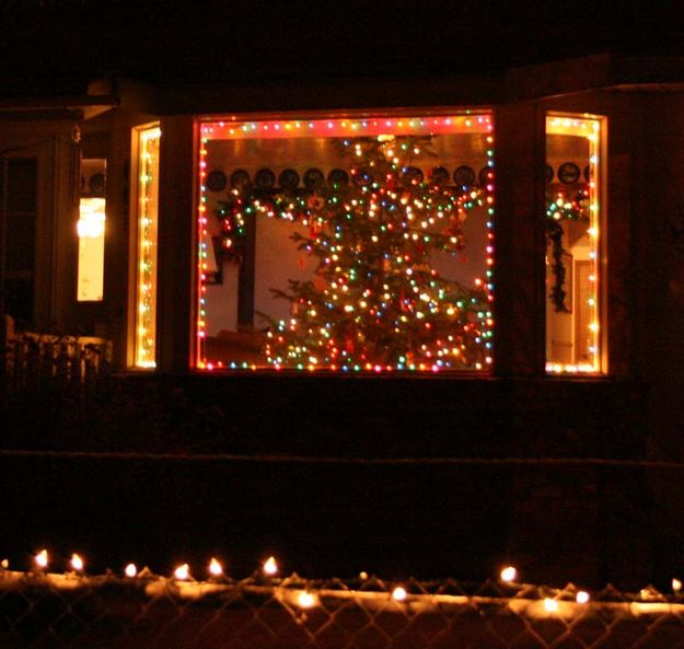 Tree in the Window. Photo by Dawn Ballou, Pinedale Online.