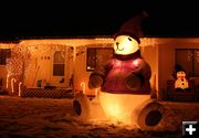 Snow Bear. Photo by Dawn Ballou, Pinedale Online.