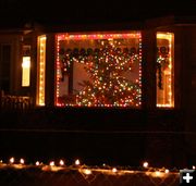 Tree in the Window. Photo by Dawn Ballou, Pinedale Online.