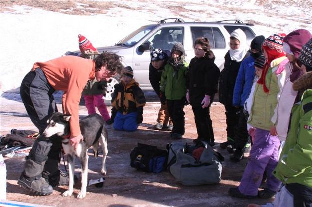 Care of Sled Dogs. Photo by Carie Whitman.